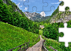 Góry, Las, Droga, Dom