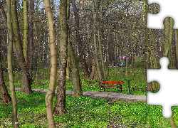 Park, Ławka, Drzewa, Zieleń, Alejka