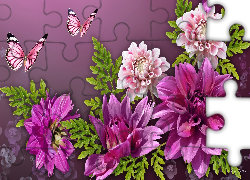 Dalie, Motyle, 2D