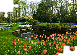 Park, Keukenhof, Staw, Tulipany