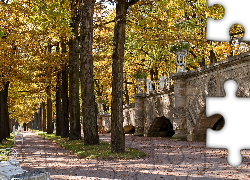 Jesień, Park, Most