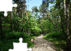 Park, Ścieżka, Drzewa, Zieleń