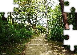 Park, Ścieżka, Drzewa, Zieleń