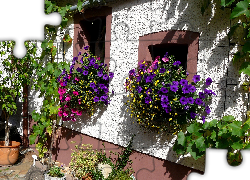 Dom, Ściana, Kwiaty, Petunie