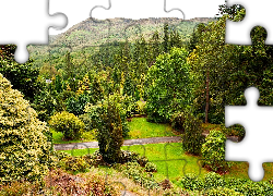 Szkocja, Benmore, Ogród Botaniczny, Argyll, Góry