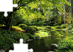 Park, Staw, Krzewy, Zieleń