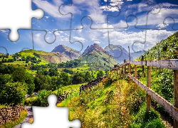 Góry, Lasy, Droga, Płot