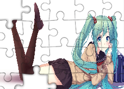 Vocaloid, Hatsune Miku