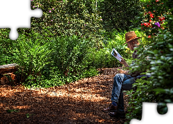Park, Dróżka, Alejka, Mężczyzna, Rośliny