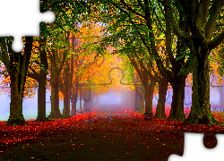 Jesień, Park, Drzewa, Aleja, Mgła