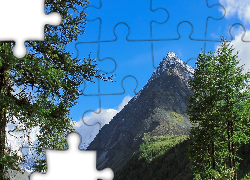 Góry, Szczyt, Drzewa, Świerki