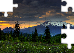 Las, Góry, Zachód Słońca, Kwiaty