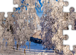 Zima, Oszronione, Drzewa, Płot, Góry