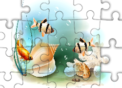 Rybki, Muszelka, Roślinka