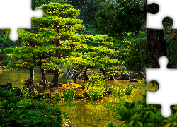 Park, Staw, Drzewa, Kioto, Japonia