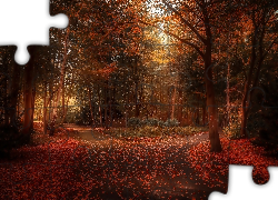 Park, Alejki, Drzewa, Liście, Jesień