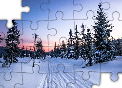 Zima, Drzewa, Droga, Śnieg