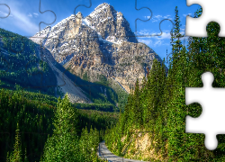 Góry, Las, Droga, Kanada