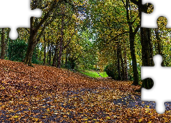 Park, Alejki, Drzewa, Liście, Jesień