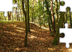 Park, Górka, Drzewa