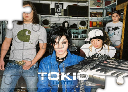 Tokio Hotel,organy