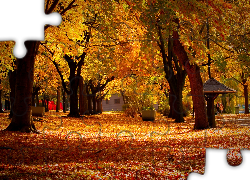 Park, Drzewa, Liście, Alejki, Jesień