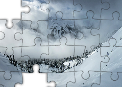 Zima, Góry, Drzewa, Śnieg