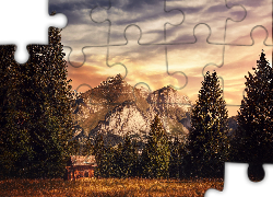 Góry, Las, Drewniany, Domek