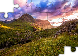 Droga, Pośród, Wzgórz, Porośniętych, Trawą