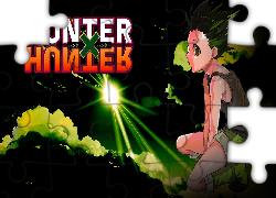 Hunter x Hunter