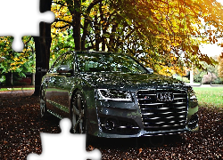 Samochód, Audi, Jesień