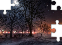 Zima, Noc, Mgła, Drzewa, Fajerwerki