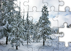 Zima, Droga, Oszronione, Drzewa