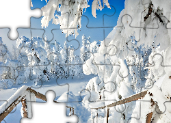 Południowy Ural, Rosja, Zima, Zejście, Las, Zaspy