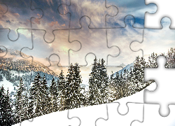 Zima, Góry, Lasy, Świerki