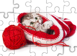 Mały, Kotek, Kłębek, Włóczka, Dzianina