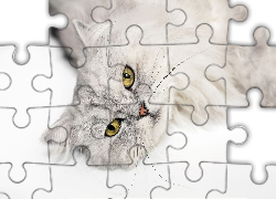 Kot, Żółte, Miodowe, Oczy