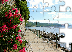 Jezioro, Droga, Mur, Kwiaty, Chorwacja