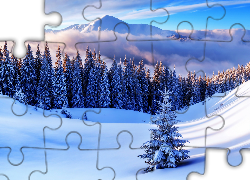 Góry, Lasy, Drzewa, Chmury, Zima