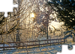 Zima, Drzewa, Płotek, Słońce