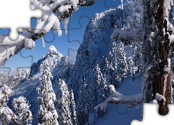 Oblodzone Drzewo, Góry, Zima