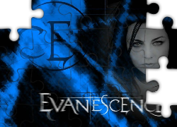Amy Lee, Evanescence, Twarz