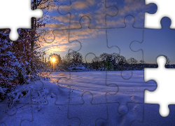 Zima, Śnieg, Drzewa, Słońce