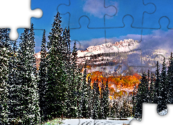 Zima, Droga, Las, Góry