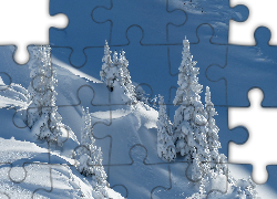 Śnieg, Góry, Drzewa, Ośnieżone