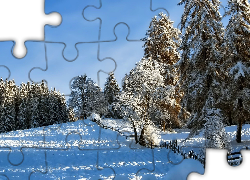 Pola, Drzewa, Lasy, Ogrodzenie, Zimowy, Krajobraz