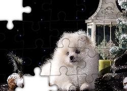 Pies, Ozdoby, Choinkowe