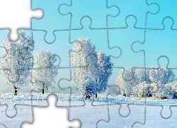 Las, Zima ,Drzewa Ośniezone