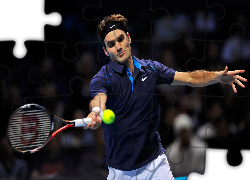 Roger Federer,Tennis