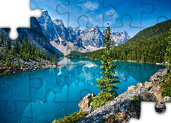 Kanada, Prowincja Alberta, Park Narodowy Banff, Góry, Jezioro Moraine, Świerki
